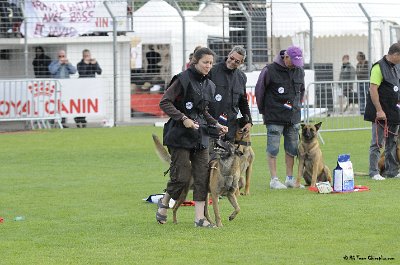 Remise des Prix 149.JPG - CHIENPLUS.COM